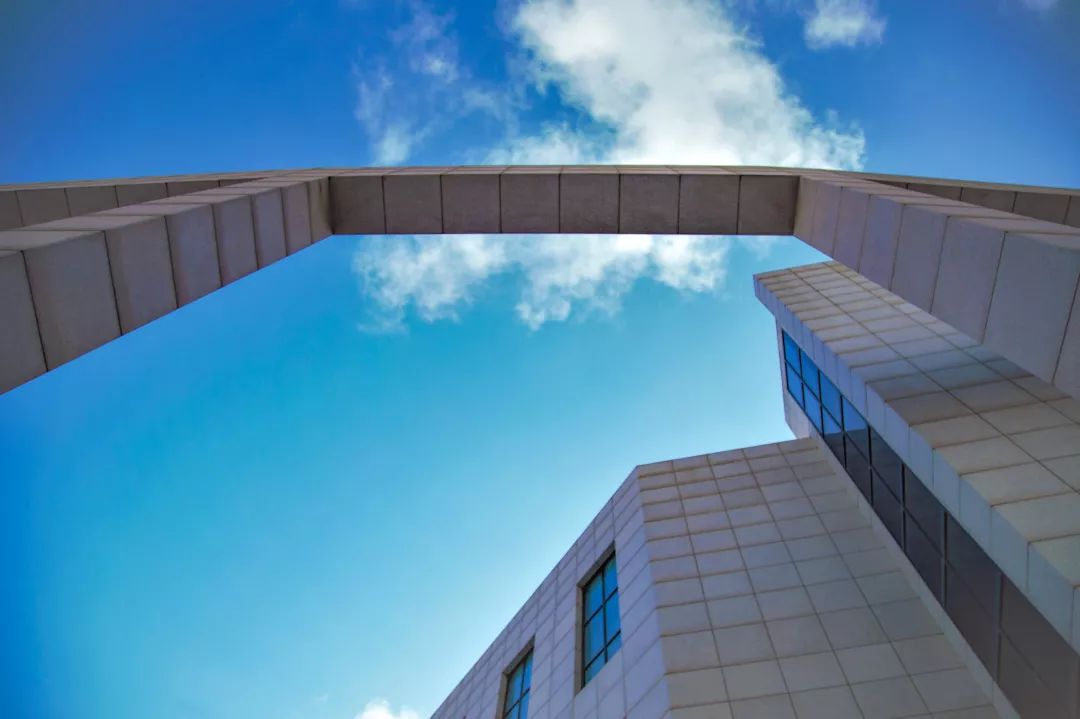 这还是我认识的相机吗,这还是我认识的二哈吗