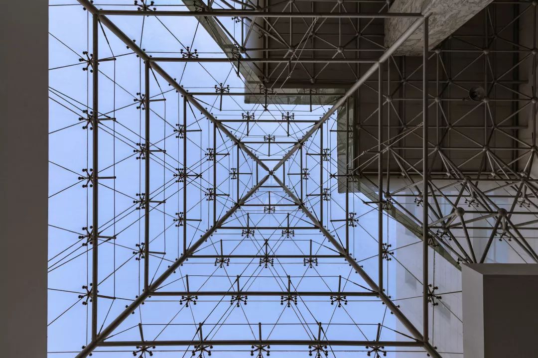 这还是我认识的相机吗,这还是我认识的二哈吗