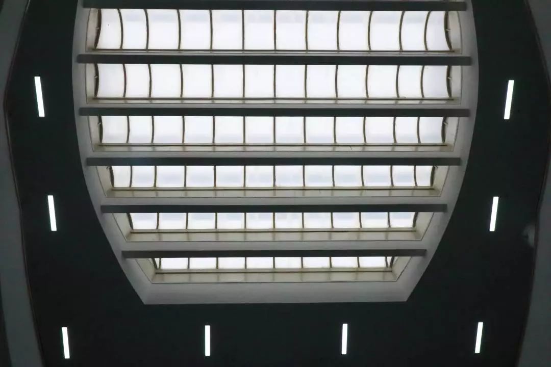 这还是我认识的相机吗,这还是我认识的二哈吗