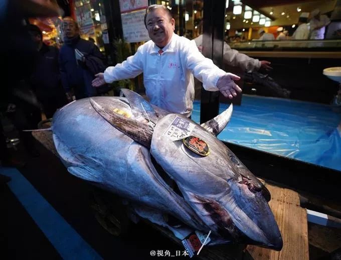 戈恩逃跑路线查明坐新干线到大阪出逃半年的水豚被捉一条金枪鱼1.9亿