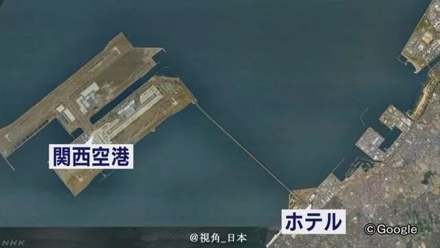 戈恩逃跑路线查明坐新干线到大阪出逃半年的水豚被捉一条金枪鱼1.9亿