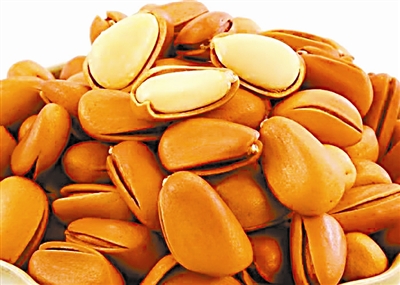 东北红松视频,红松子东北松子