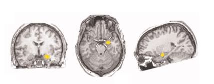 明知香烟有毒为何不禁烟,明知烟有害却是戒不了