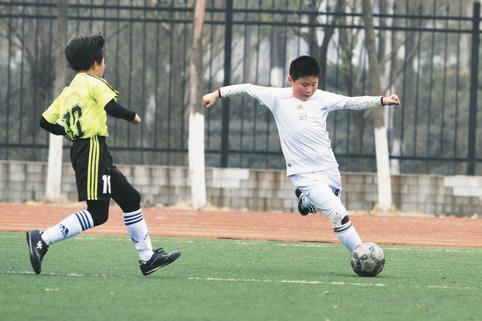 合肥建设大型专业足球场,安徽合肥足球训练基地