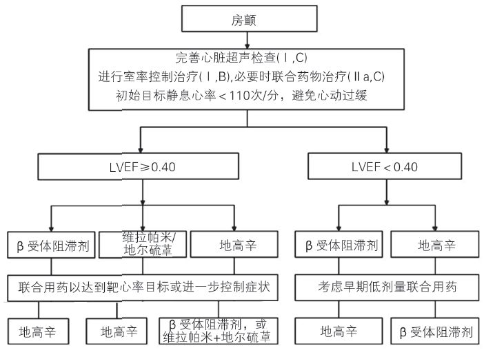 房颤用什么抗心律失常药,2018年中国房颤诊疗指南原文