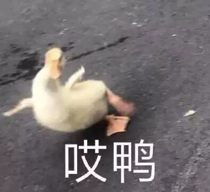 试管姐妹们最关心的几个问题,做试管的姐妹们一路走来太不容易