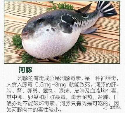 29斤鱼不翼而飞,40多斤鱼被找到了