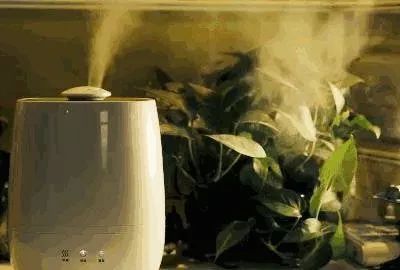 加湿器产品抽检,亚都加湿器质量好吗