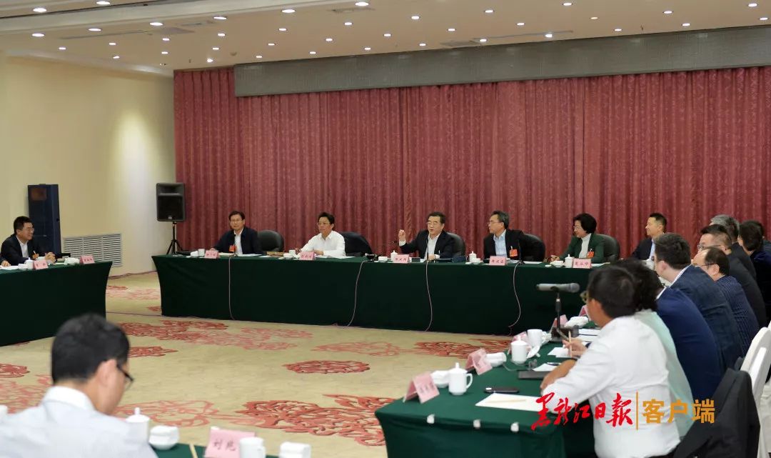 黑龙江省七大产业集团,黑龙江7大产业集团