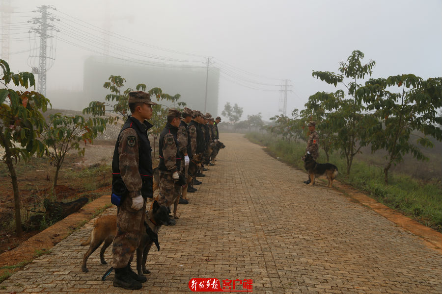要懂饲养，还要会训练，无言尖兵的训导员来培训
