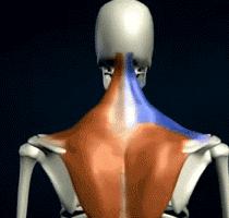 练肩穿衣服最有效的动作,如何提高气质不勾肩搭背