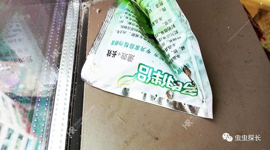 案例分析丨写字楼老鼠猖獗，如何抽丝剥茧破鼠害