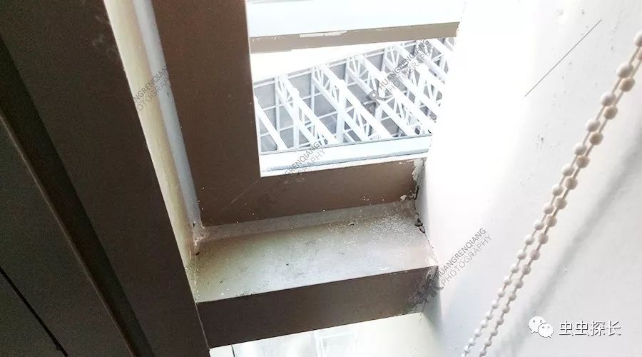 案例分析丨写字楼老鼠猖獗，如何抽丝剥茧破鼠害