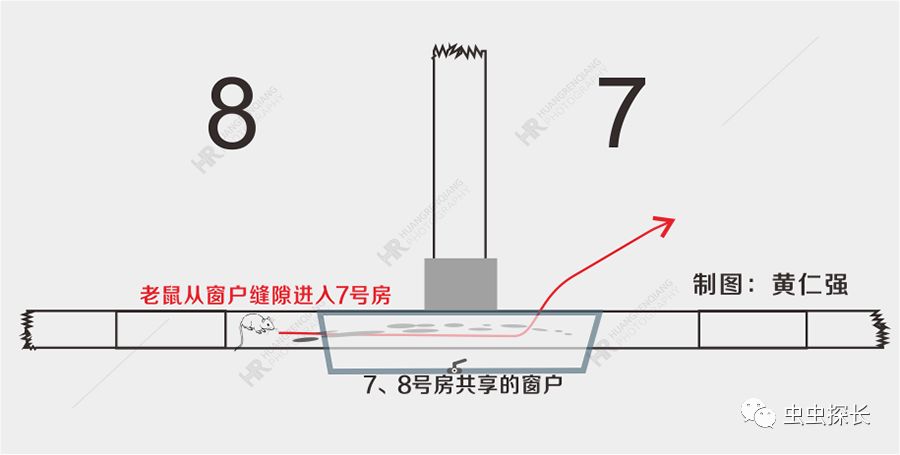 案例分析丨写字楼老鼠猖獗，如何抽丝剥茧破鼠害