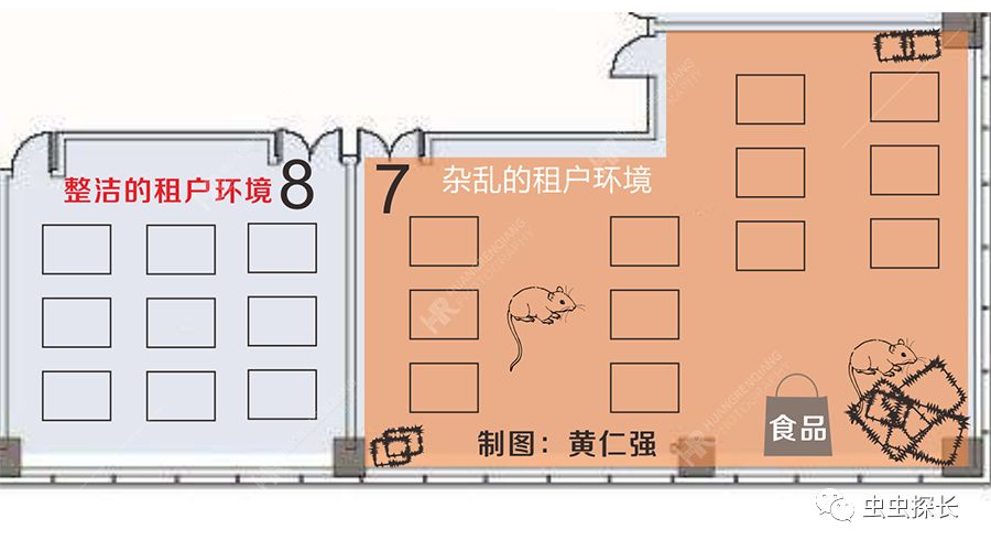 案例分析丨写字楼老鼠猖獗，如何抽丝剥茧破鼠害