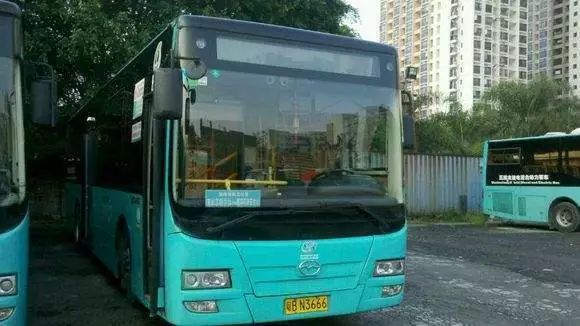 深圳交通出行指引发布,深圳公共交通最新政策
