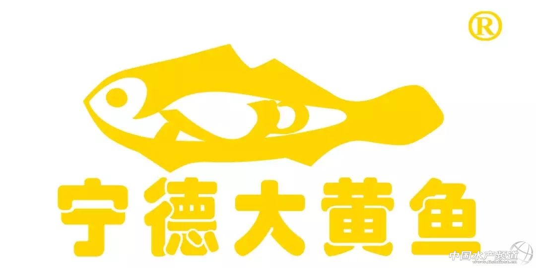 近几年大黄鱼价格,大黄鱼价格为何那么贵