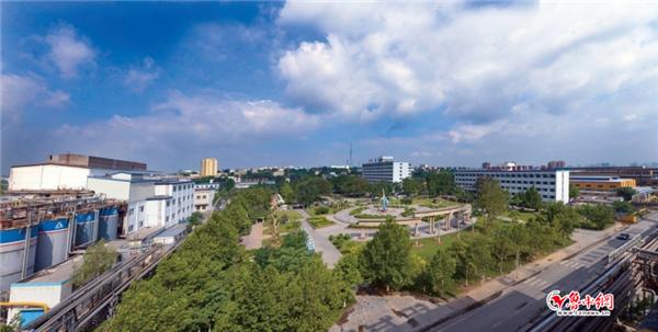 中铝山东企业：不吃老本立新功加快转型升级推进高质量发展