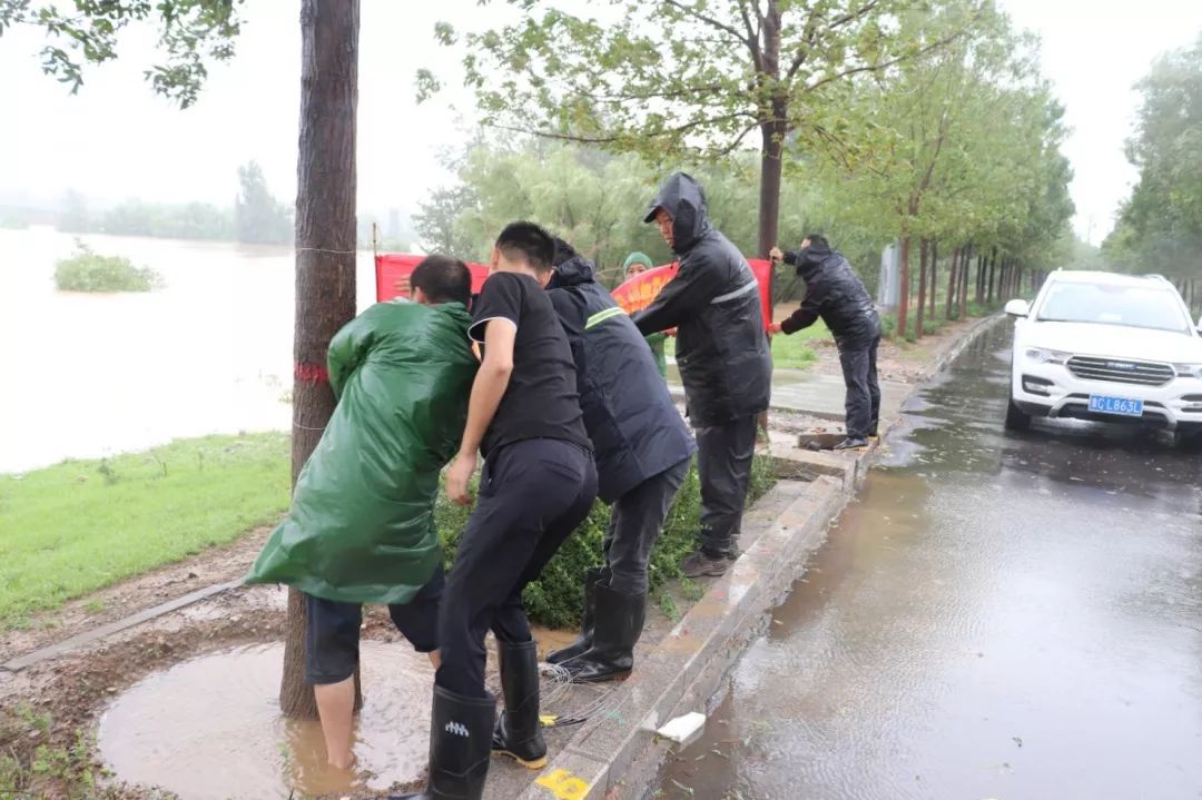 一路桃花为谁容齐陵农业再追梦