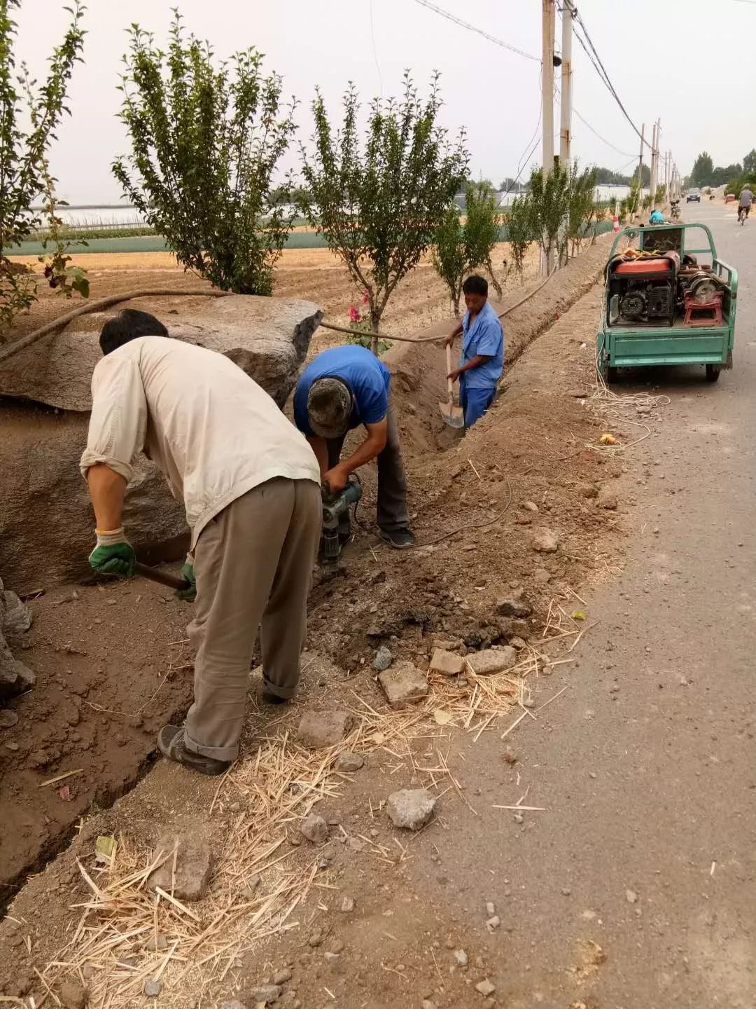一路桃花为谁容齐陵农业再追梦