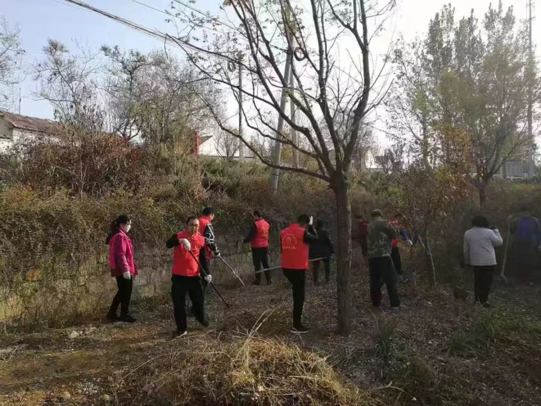 一路桃花为谁容齐陵农业再追梦