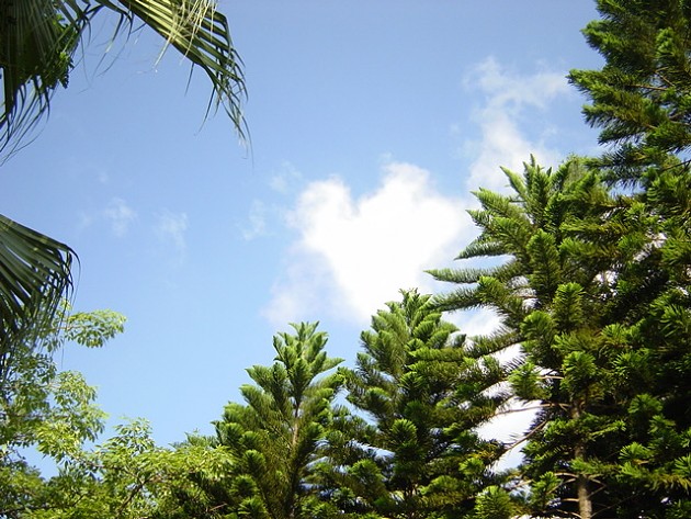 邢台清河天气怎么样,河北邢台清河县天气