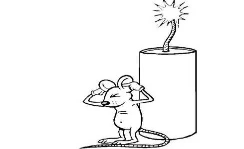 耗子屎鞭炮,耗子屎草的正确使用方法