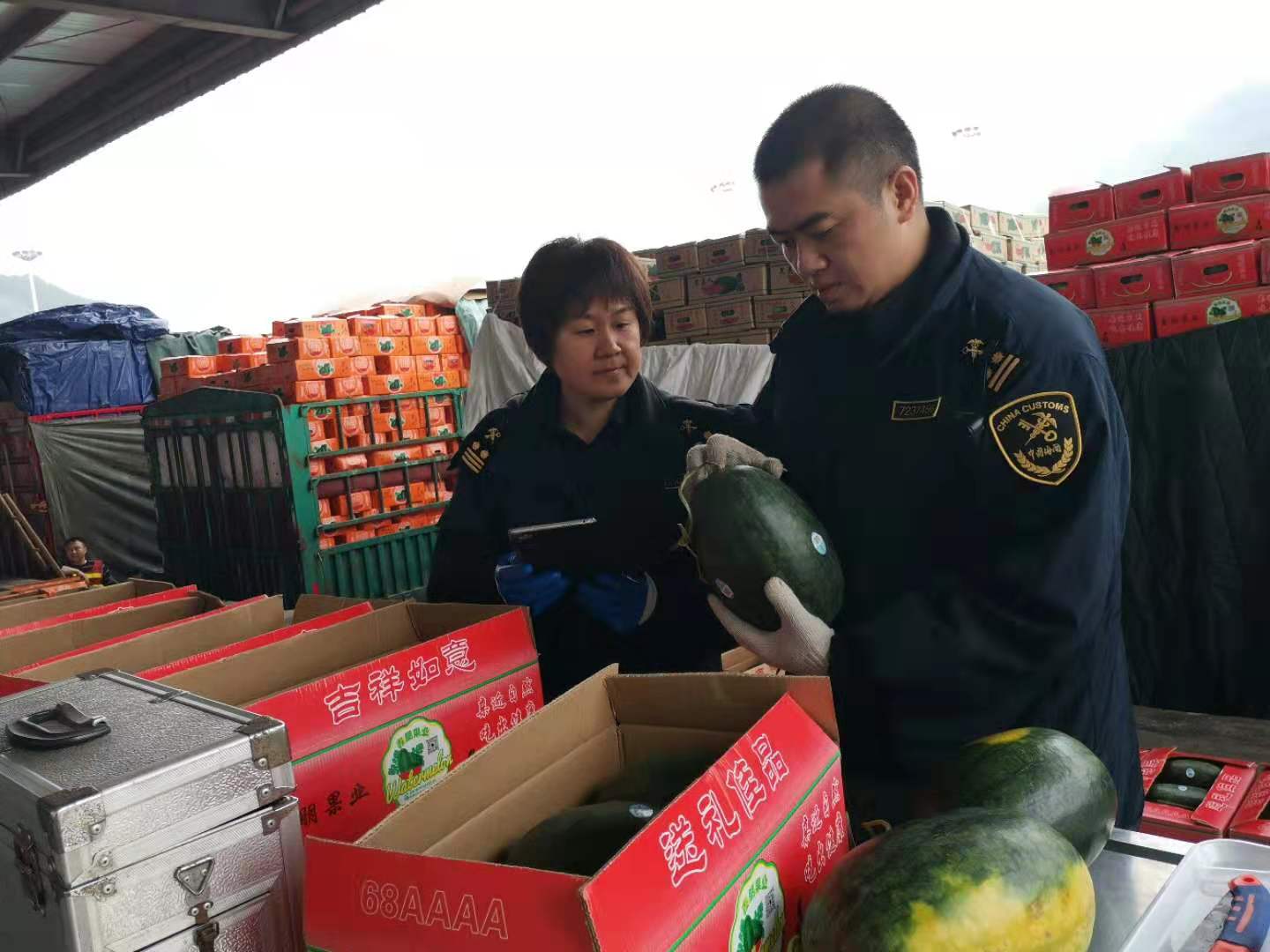 越南水果“跨境春运”不停歇友谊关海关监管服务不打烊