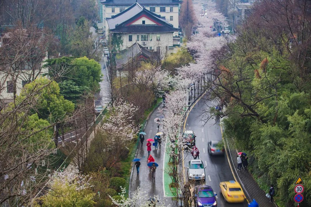 南国的两面：江南vs岭南