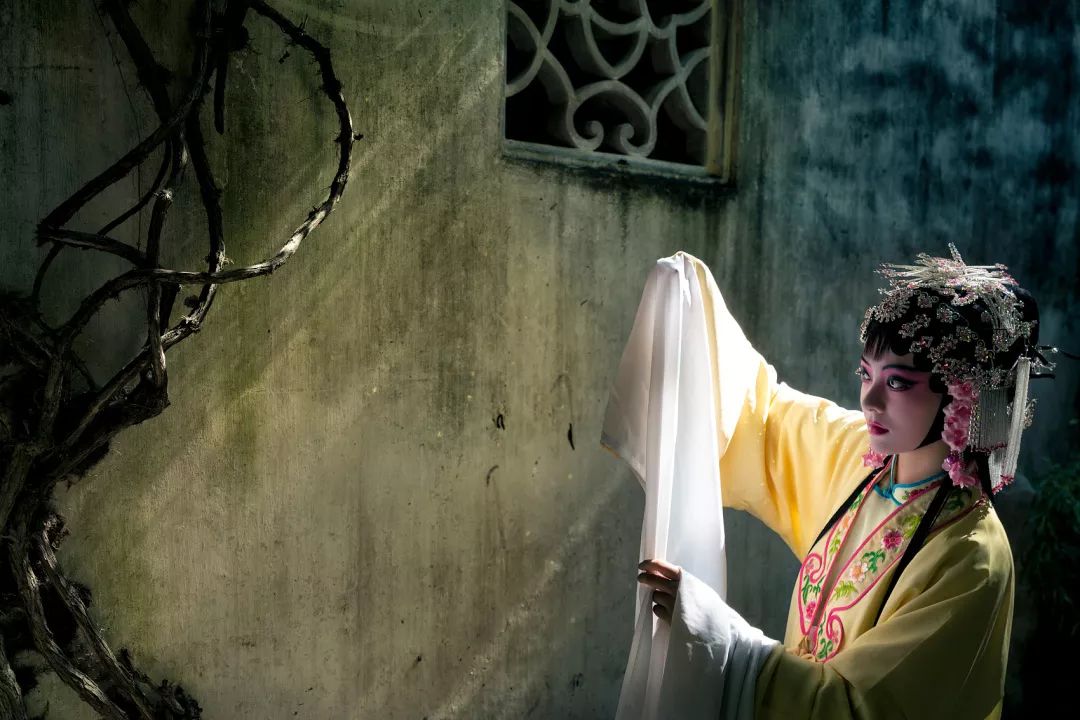 南国的两面：江南vs岭南