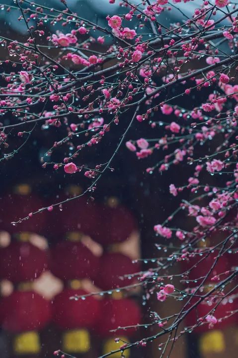 南国的两面：江南vs岭南