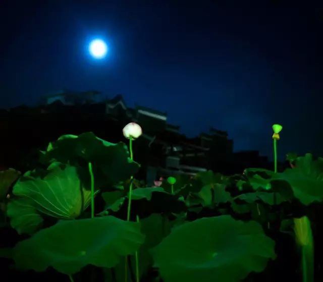 教科书式自我隔离,自我隔离要多少天