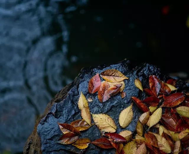 教科书式自我隔离,自我隔离要多少天