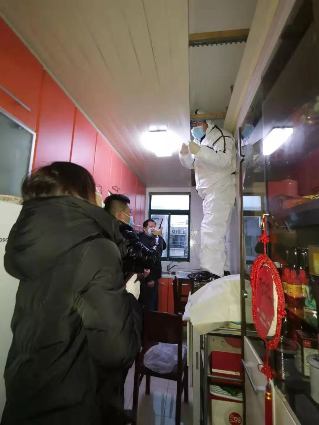 在楼道里遇见蝙蝠该怎么办,家里有蝙蝠进来有没有事