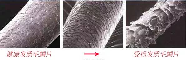 日本双层加厚超强吸水干发帽,日本吸水速干干发帽