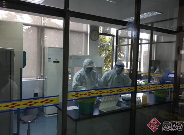 铠甲战士系列大全,铠甲战士的所有动画片