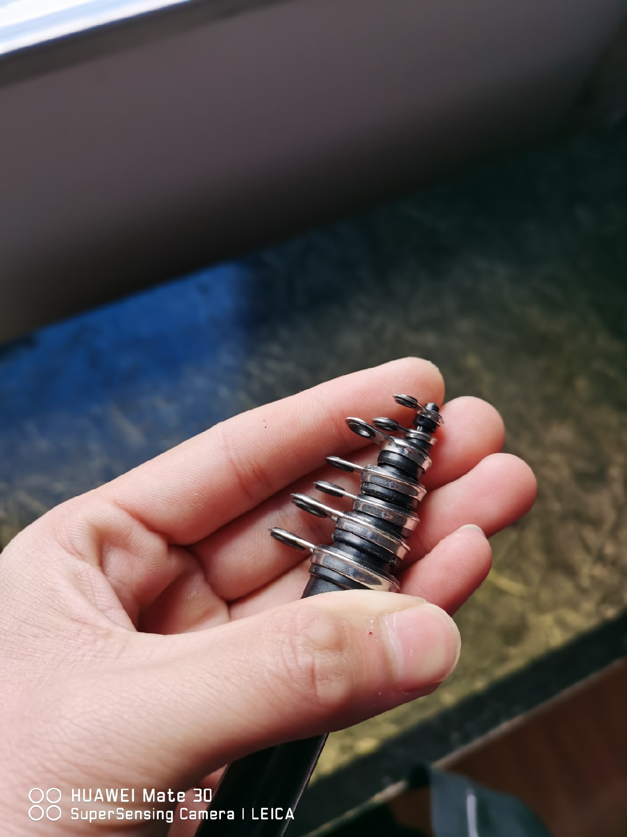 疫情不出门在家学绝技,疫情期间不外出在家练厨艺