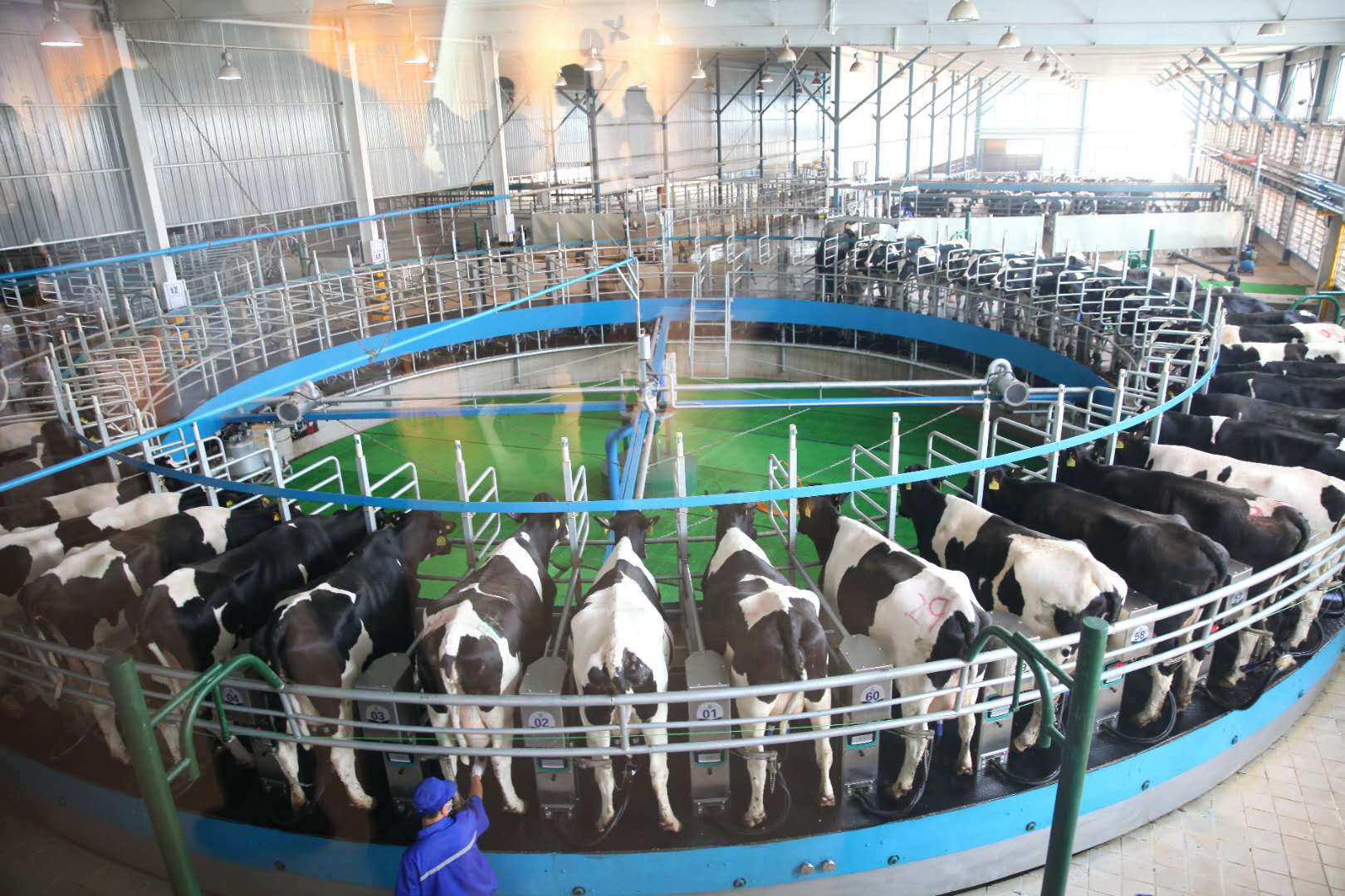 倒库常出现的情况处理方法,倒奶现象