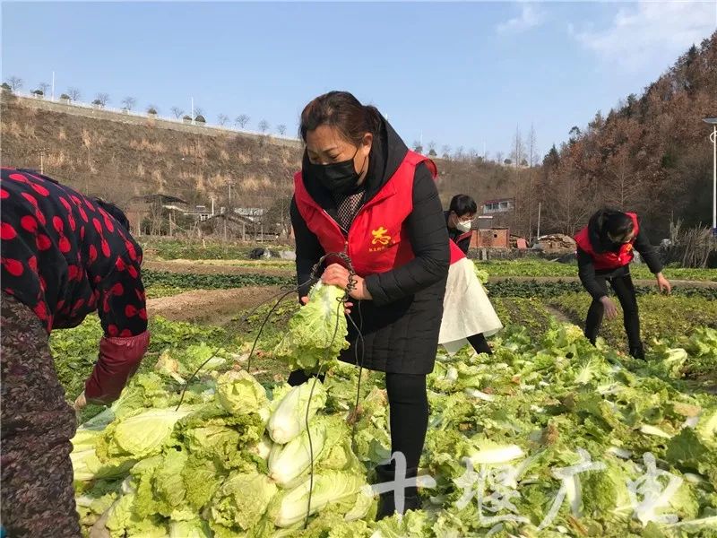 “打赢这场仗，就回去和你结婚”这是十堰最动人的告白