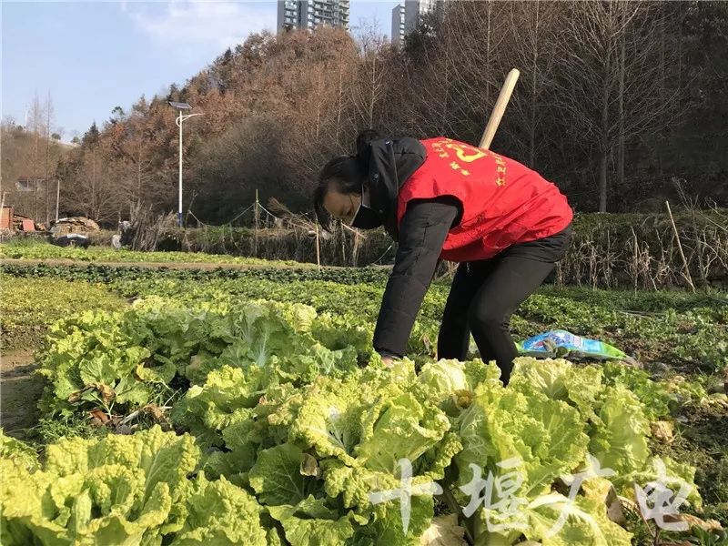 “打赢这场仗，就回去和你结婚”这是十堰最动人的告白