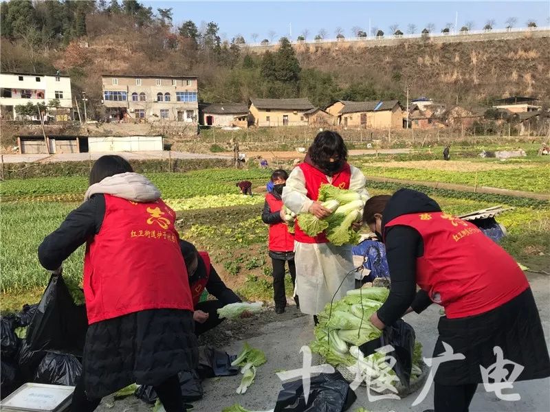 “打赢这场仗，就回去和你结婚”这是十堰最动人的告白