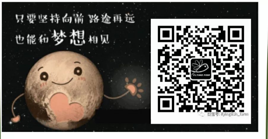 坦干喀伊湖纪录片全集,坦干伊喀湖图片