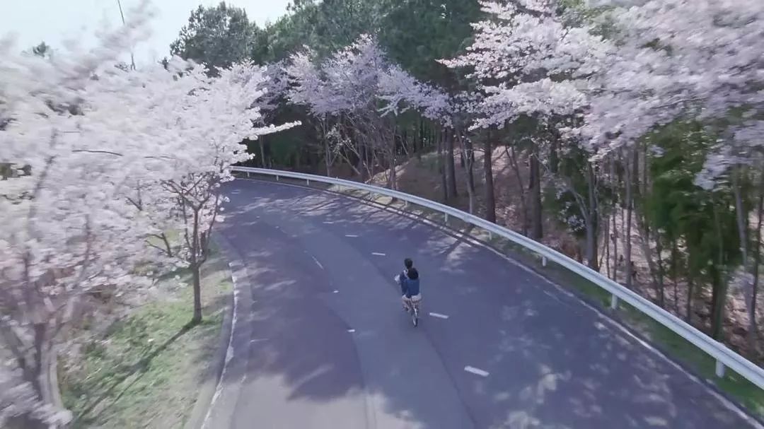 私藏品分享,私藏物品分享