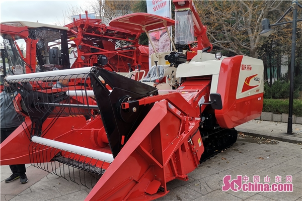 雷沃谷神rg50收玉米视频,雷沃谷神rg50