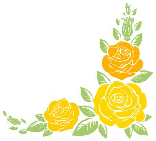 北京五中分校招生政策,北京五中双合分校招生简章