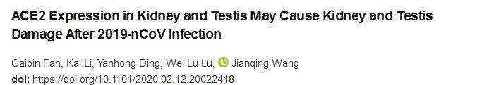 COVID-19患者普遍存在肾脏损伤，肾脏和*丸睾**或是新冠病毒的潜在攻击目标｜研究速递
