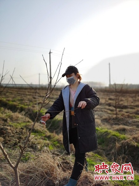 河南息县抓春耕,河南息县春耕生产