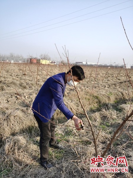 河南息县抓春耕,河南息县春耕生产