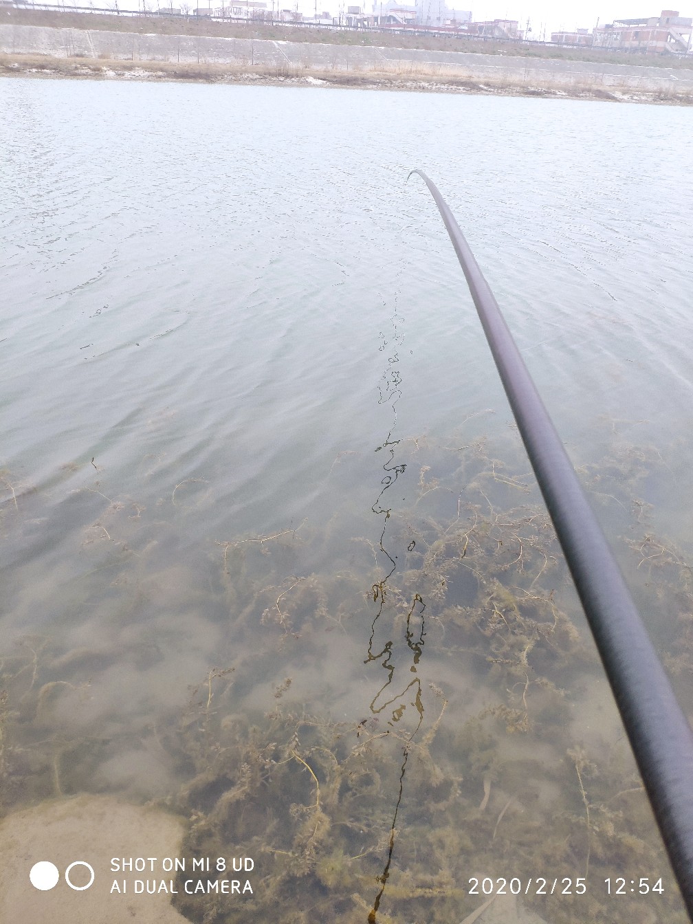 本人野钓经验总结范文怎么写,万峰湖野钓经验