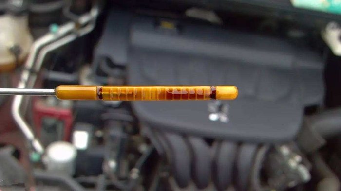 牛车实验室所有视频,牛车实验室完整视频